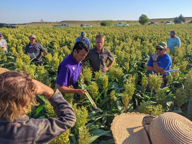 discussing plants at field day