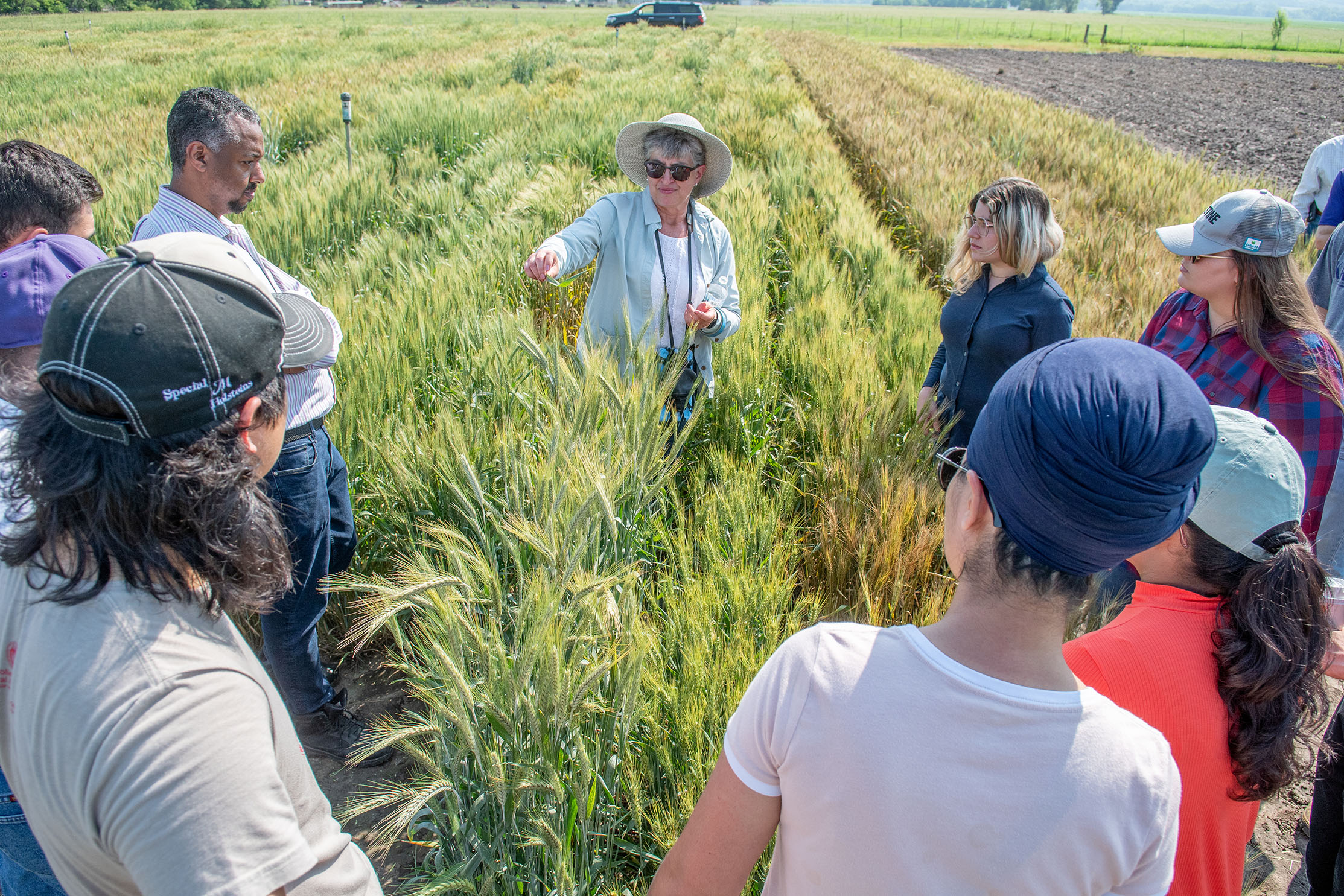 discussing wheat at field day