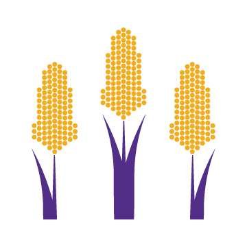 sorghum icon