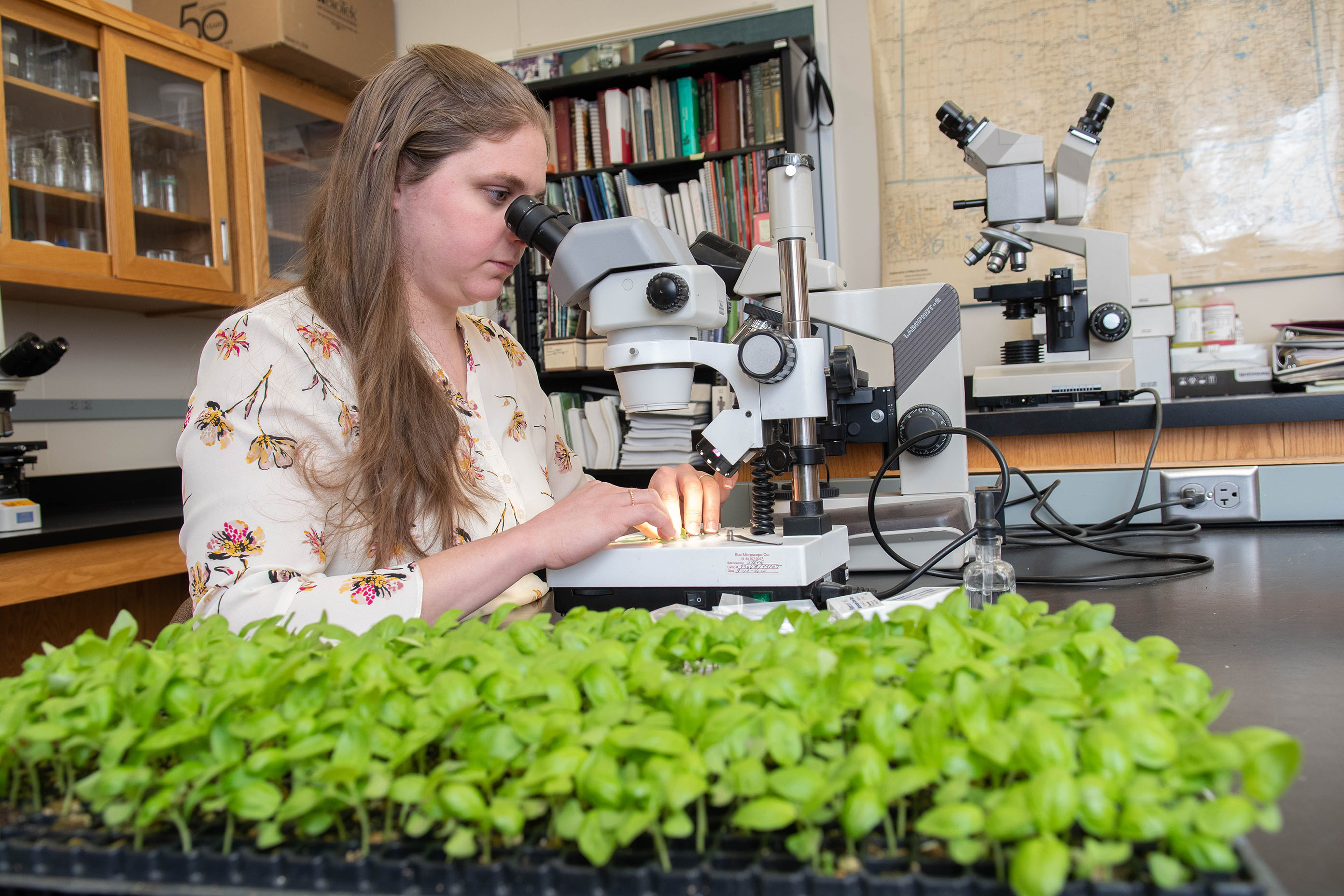 faculty checking microbe growth