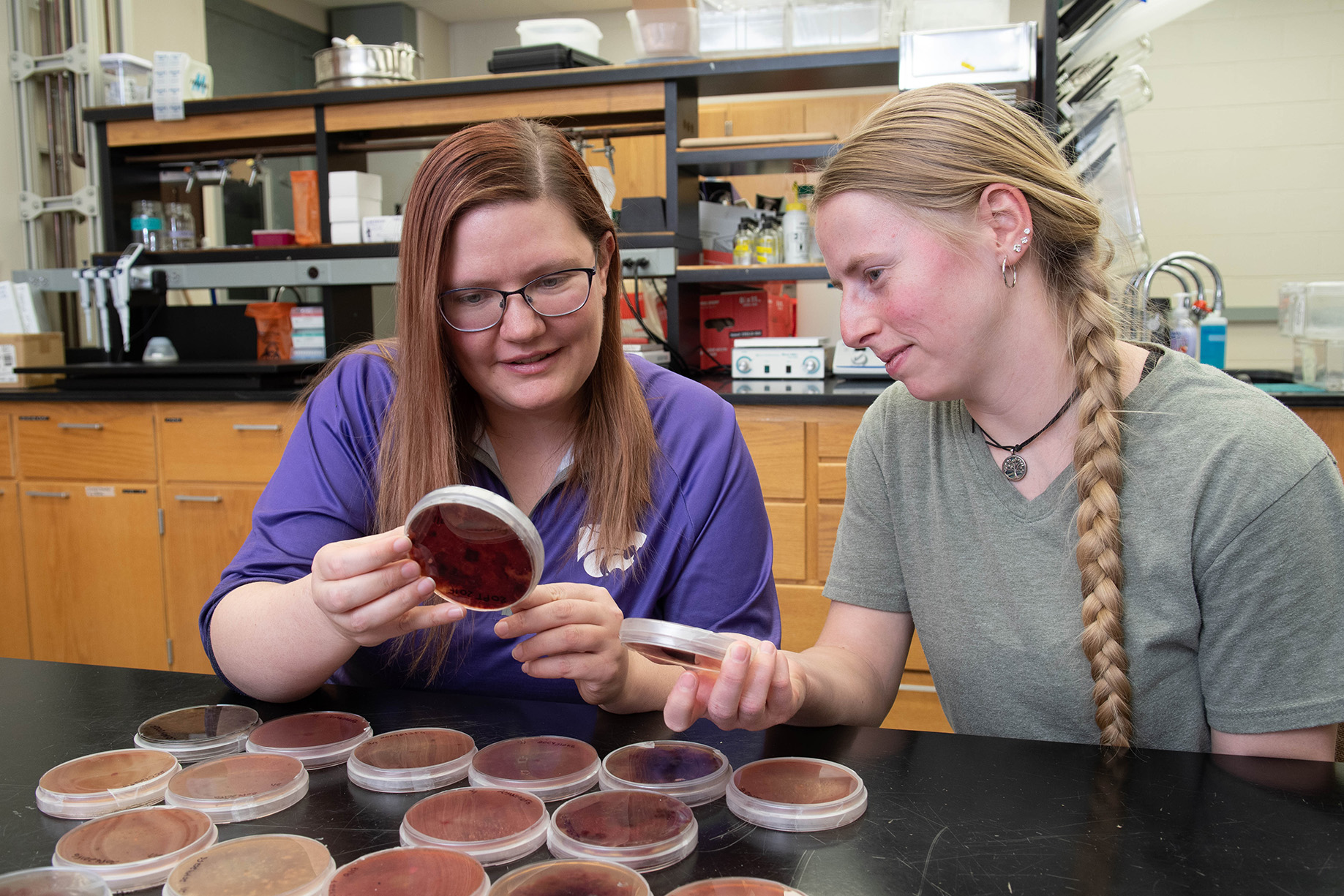 Students discussing plant disease cultures