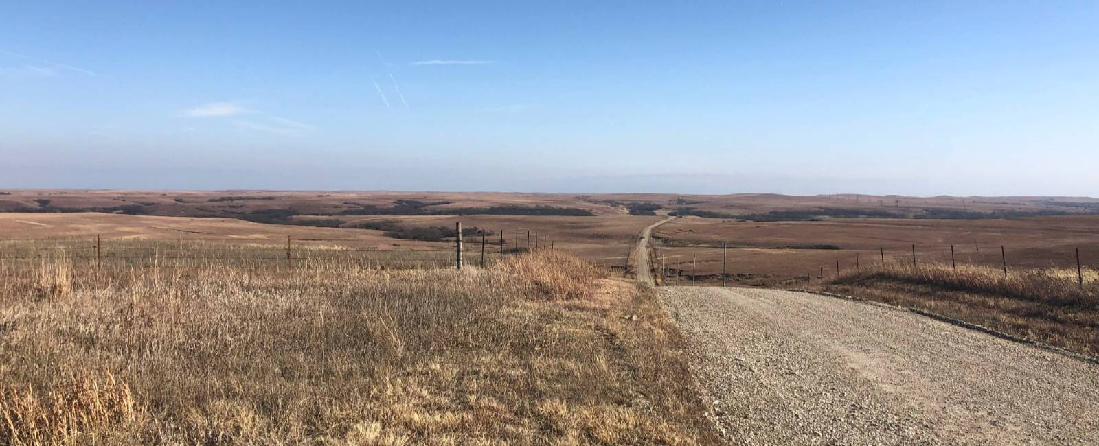 flint hills david cook lab